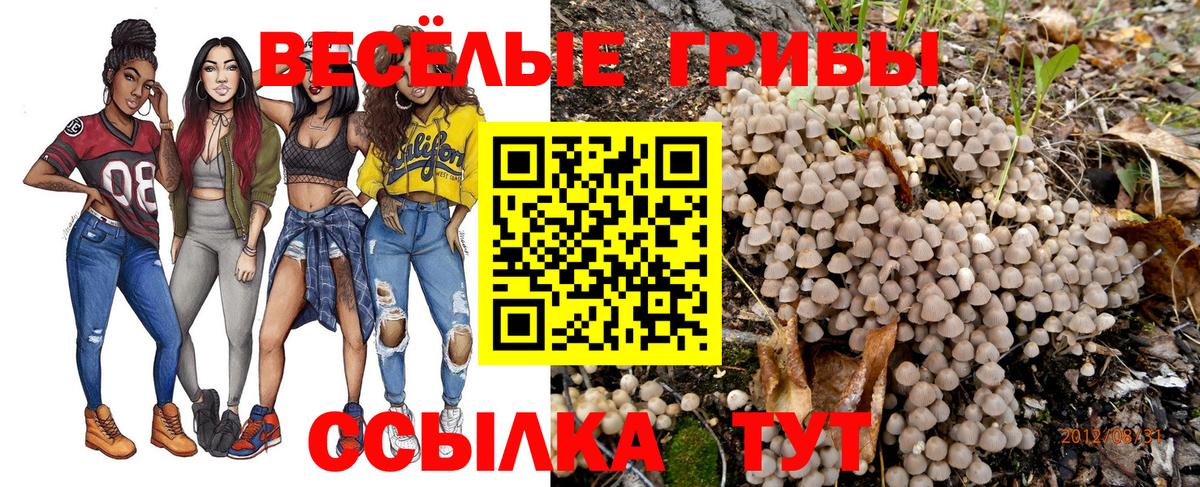 Псилоцибиновые грибы ЛСД  Вход с VPN  Псилоцибиновые грибы GOLDEN TEACHER  где продают наркотики  Дзержинск 
